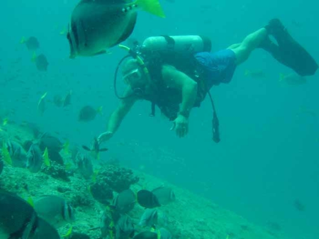 buceando en cabo pulmo